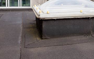 disadvantages of The Oval flat roofs